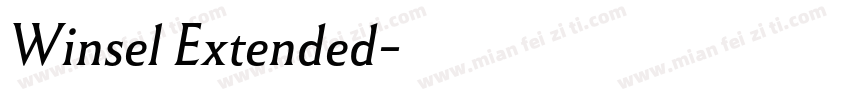 Winsel Extended字体转换